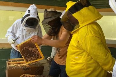 L'apiculteur de rue du Peterbos