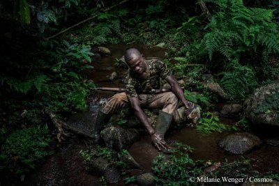 L'ivoire de Boko Haram